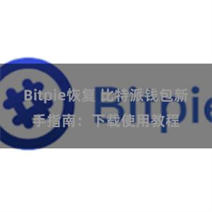 Bitpie恢复 比特派钱包新手指南：下载使用教程