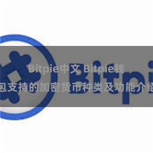 Bitpie中文 Bitpie钱包支持的加密货币种类及功能介绍