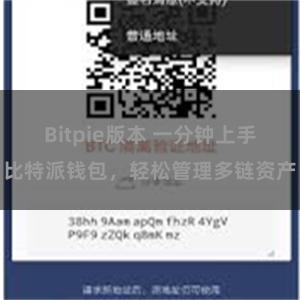 Bitpie版本 一分钟上手比特派钱包，轻松管理多链资产