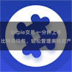 Bitpie交易 一分钟上手比特派钱包，轻松管理多链资产