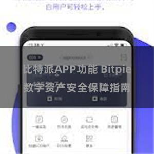 比特派APP功能 Bitpie数字资产安全保障指南