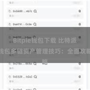 Bitpie钱包下载 比特派钱包多链资产管理技巧：全面攻略