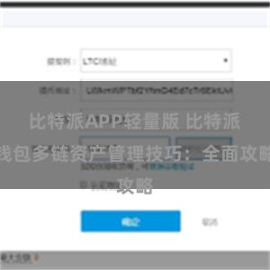 比特派APP轻量版 比特派钱包多链资产管理技巧：全面攻略