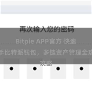 Bitpie APP官方 快速上手比特派钱包，多链资产管理全攻略