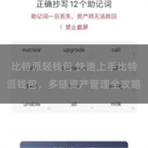 比特派轻钱包 快速上手比特派钱包，多链资产管理全攻略