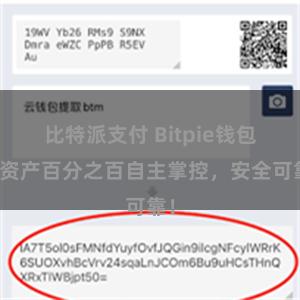 比特派支付 Bitpie钱包：资产百分之百自主掌控，安全可靠！