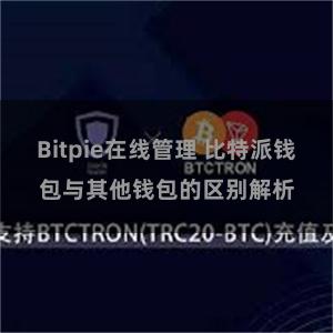 Bitpie在线管理 比特派钱包与其他钱包的区别解析