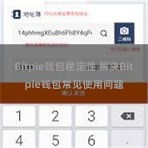 Bitpie钱包稳定性 解决Bitpie钱包常见使用问题