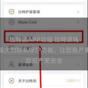 比特派APP功能 比特派钱包：强大的隐私保护功能，让您资产更安全
