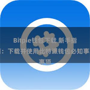 Bitpie钱包下载 新手指南：下载并使用比特派钱包必知事项