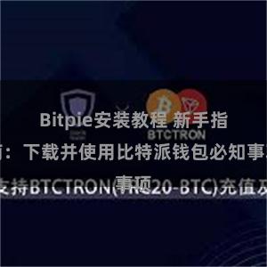 Bitpie安装教程 新手指南：下载并使用比特派钱包必知事项