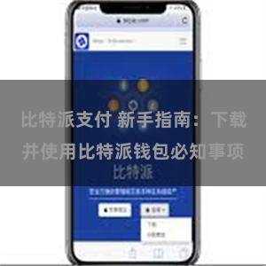 比特派支付 新手指南：下载并使用比特派钱包必知事项