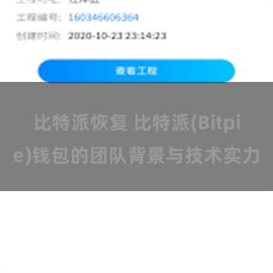 比特派恢复 比特派(Bitpie)钱包的团队背景与技术实力