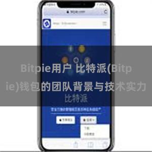 Bitpie用户 比特派(Bitpie)钱包的团队背景与技术实力