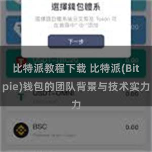 比特派教程下载 比特派(Bitpie)钱包的团队背景与技术实力