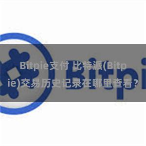 Bitpie支付 比特派(Bitpie)交易历史记录在哪里查看？