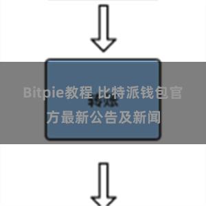 Bitpie教程 比特派钱包官方最新公告及新闻