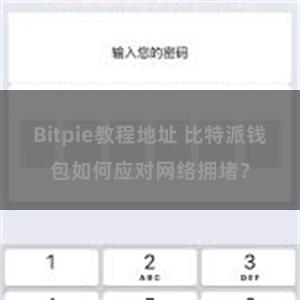 Bitpie教程地址 比特派钱包如何应对网络拥堵？