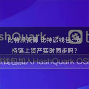 比特派资源 比特派钱包: 支持链上资产实时同步吗？