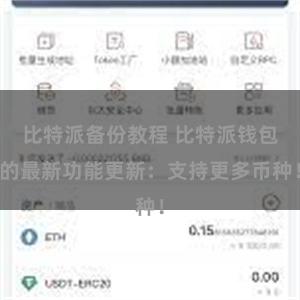 比特派备份教程 比特派钱包的最新功能更新：支持更多币种！