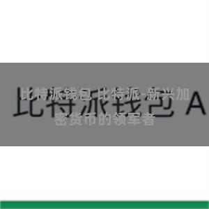 比特派钱包 比特派-新兴加密货币的领军者