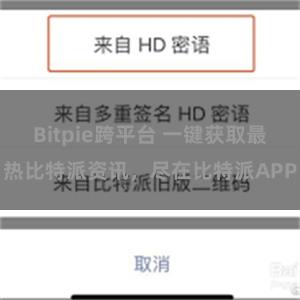 Bitpie跨平台 一键获取最热比特派资讯，尽在比特派APP