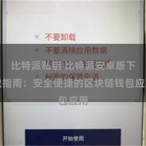 比特派私钥 比特派安卓版下载指南：安全便捷的区块链钱包应用
