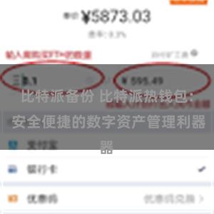 比特派备份 比特派热钱包: 安全便捷的数字资产管理利器