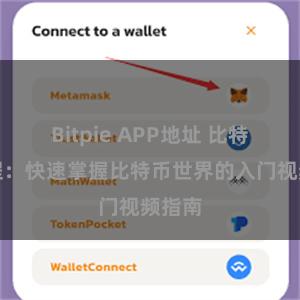 Bitpie APP地址 比特派教程：快速掌握比特币世界的入门视频指南
