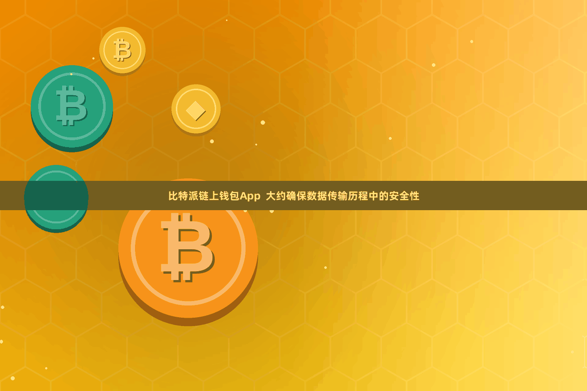 比特派链上钱包App  大约确保数据传输历程中的安全性